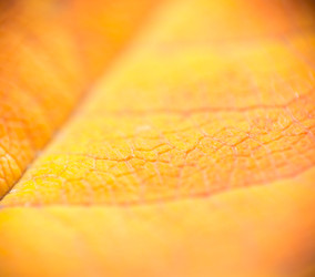 Similar image 22131665