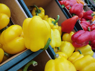 Similar image 22131673