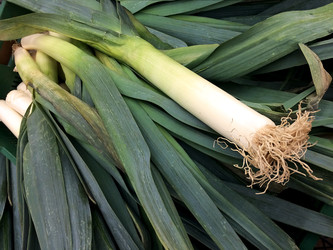 Similar image 22131677