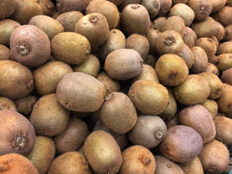 Similar image 22131679