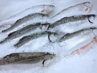 Similar image 22131737