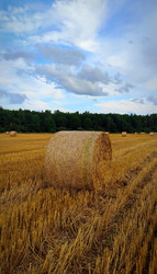 Similar image 22129335