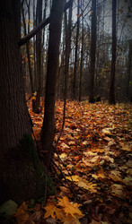 Similar image 22129336