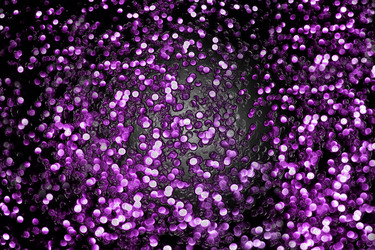 Similar image 22129347