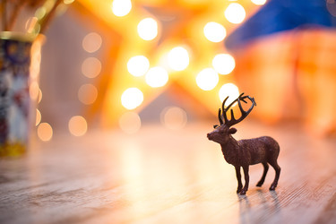 Similar image 22130147