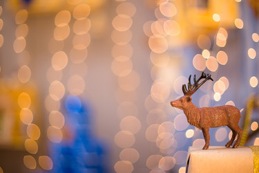 Similar image 22130148