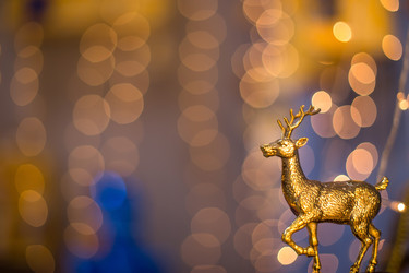 Similar image 22130434