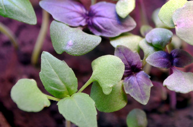 Similar image 22129354