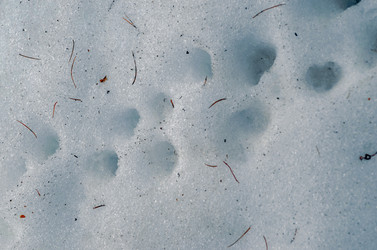 Similar image 22129355