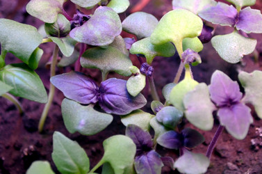 Similar image 22129356