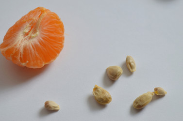 Similar image 22129358