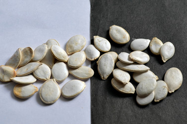 Similar image 22129360