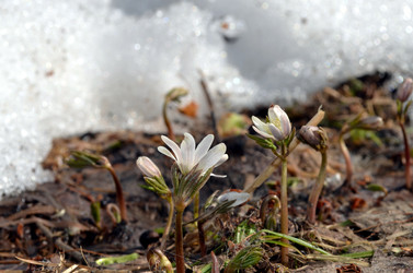 Similar image 22129362