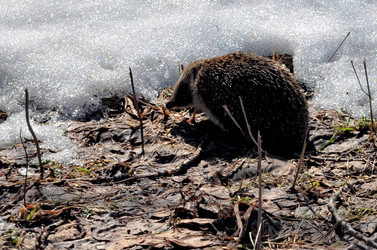 Similar image 22129364