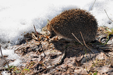 Similar image 22129365