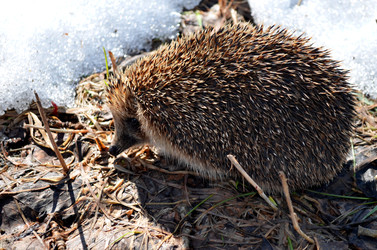 Similar image 22129366