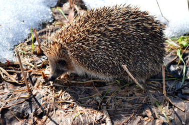 Similar image 22129367