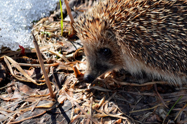 Similar image 22129368