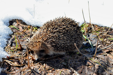 Similar image 22129369