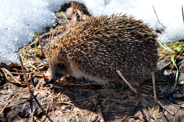 Similar image 22129370