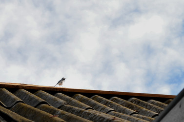 Similar image 22129373