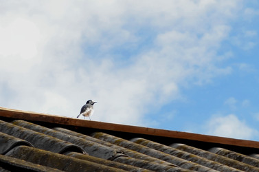 Similar image 22129374