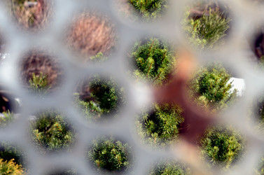 Similar image 22129375