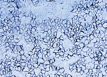 Similar image 22131984