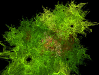 Similar image 22130771