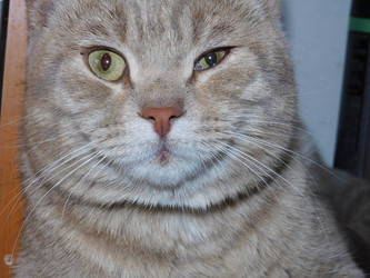 Similar image 22132313