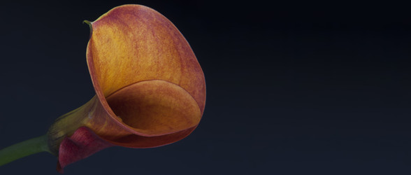 Similar image 22130200