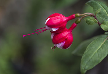 Similar image 22130203