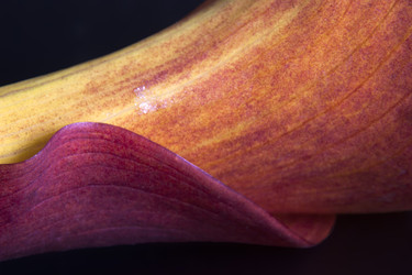 Similar image 22130204