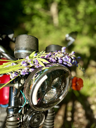 Similar image 22130207