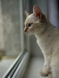 Similar image 22130208