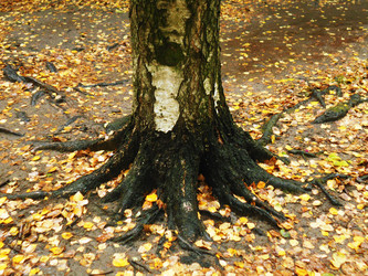 Similar image 22132098