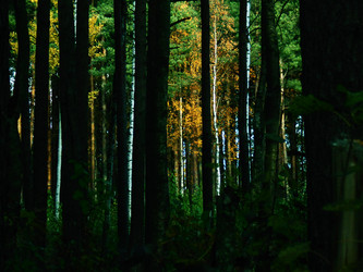 Similar image 22132099