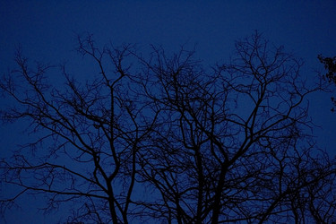 Similar image 22132100