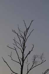 Similar image 22132102