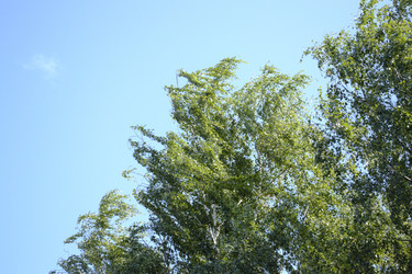 Similar image 22132105