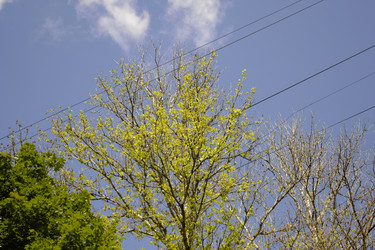 Similar image 22132107