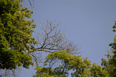 Similar image 22132110