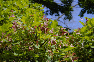 Similar image 22132111