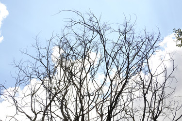 Similar image 22132112