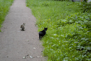 Similar image 22132113