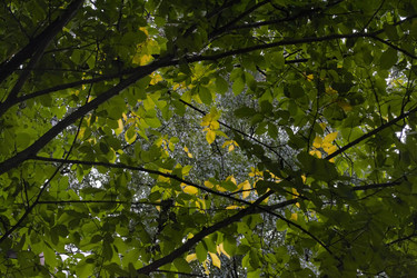 Similar image 22132114