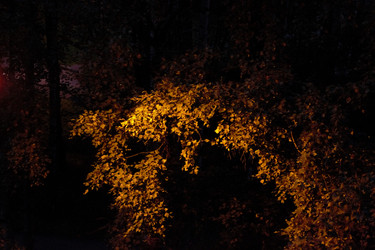 Similar image 22132116