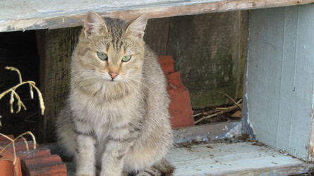 Similar image 22131411