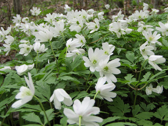 Similar image 22131413