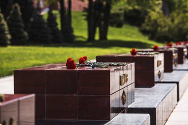 Similar image 22130615